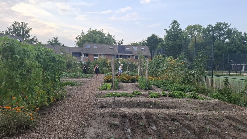 Rudy en Maarten zetten zich in voor een levendige moestuin in Stroinkslanden