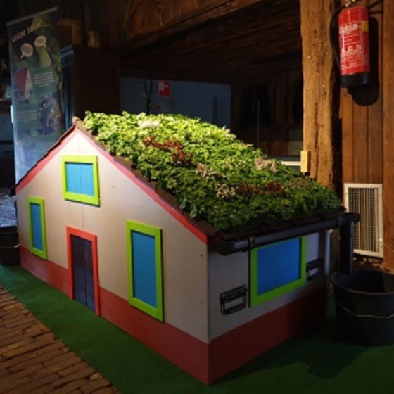 groen dak op het tentoonstellingshuisje