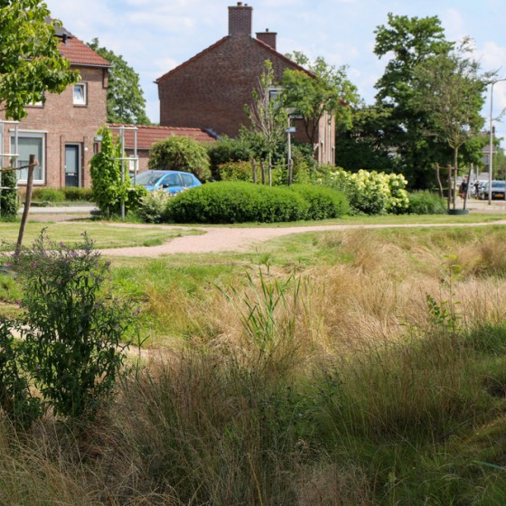 grasveld klimaatadaptatie