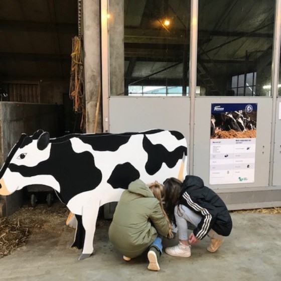 2 leerlingen melken een koe die van karton is gemaakt