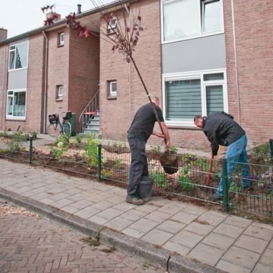 2 mannen aan het tuinieren in de wijk Stefenvenne