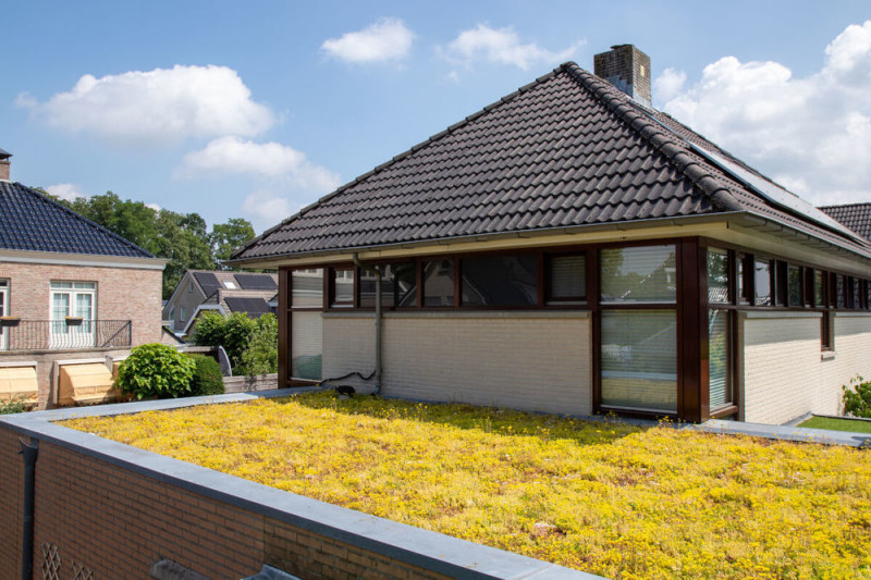 Enschedeër Rob legt groen dak aan met GroenBlauw subsidie.