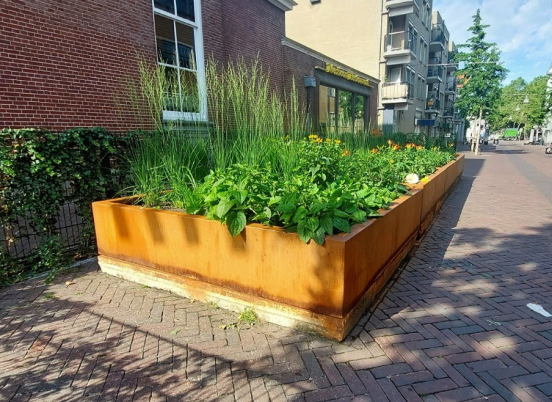 Groene bloeiers in plantenbakken binnenstad