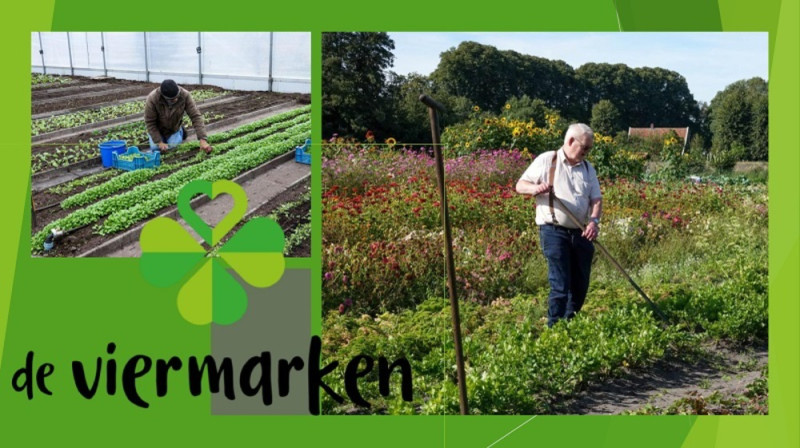 Open week bij de Viermarken