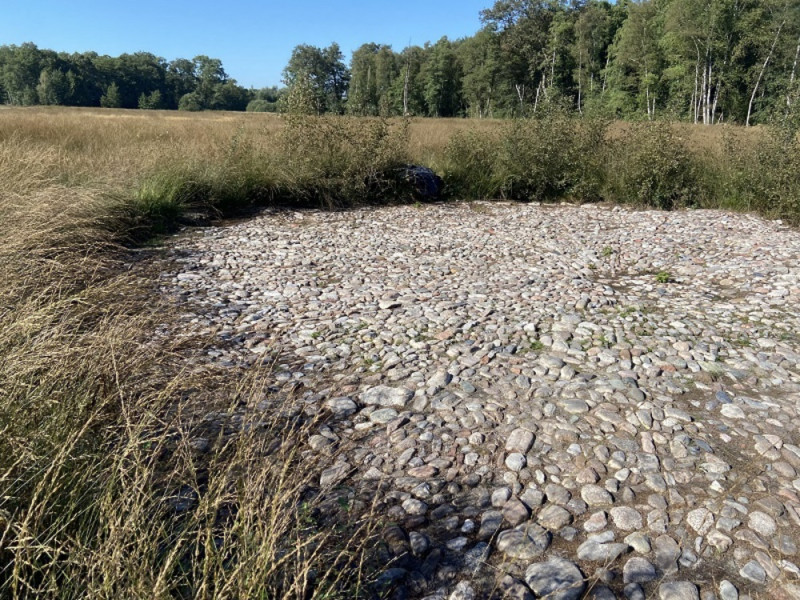 IVN Enschede zoekt enthousiaste vrijwilligers