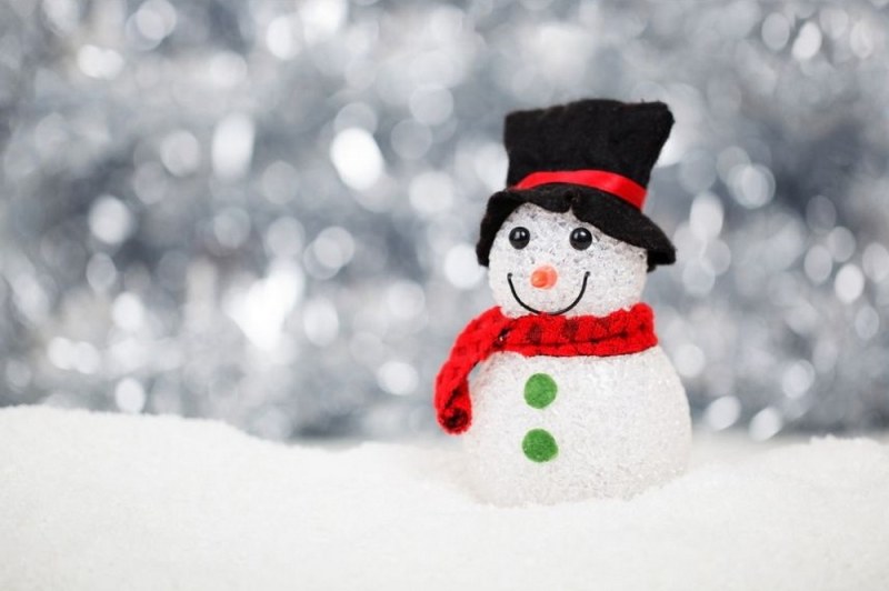 Warme Winterweken bij De Vrije Ruimte