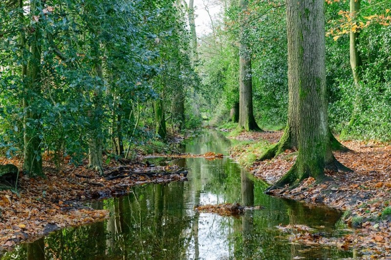 Wisselende grondwaterstand invloed op natuur