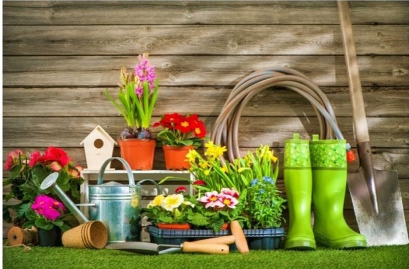 Gratis tuincoach: advies op maat voor een groenere tuin