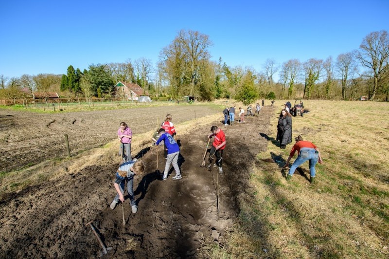 Basisschoolleerlingen planten 700 boompjes op Boomfeestdag