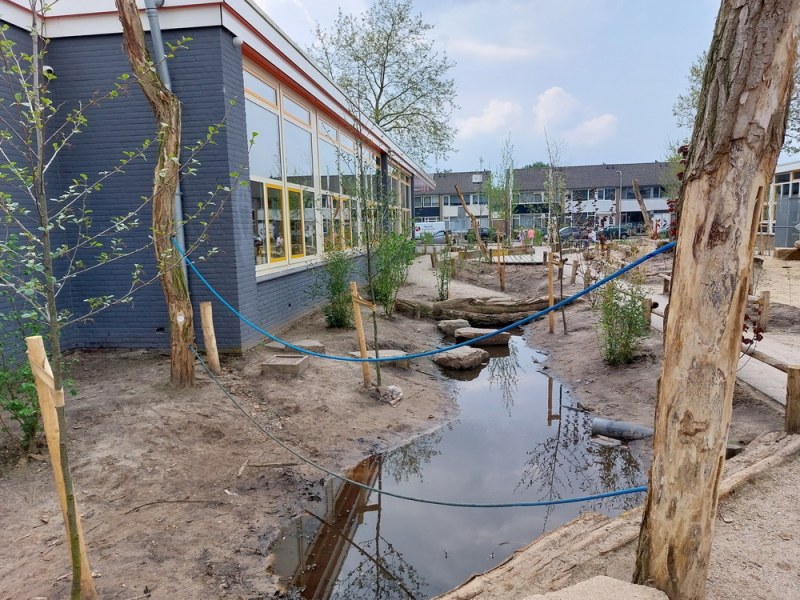 Geld om 4 schoolpleinen groener te maken