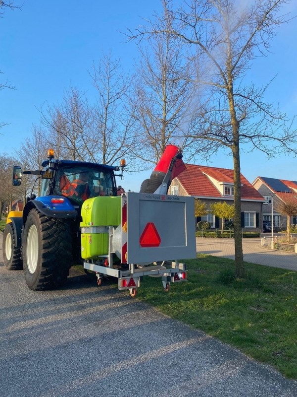 Bestrijding eikenprocessierups in volle gang
