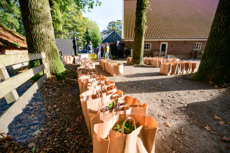 Zet je tuin in bloei met het voordelige waardplantenpakket van Groene Loper Enschede